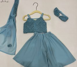 Crop Top with Plazzo Set