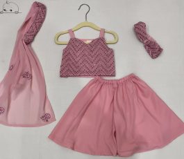 Crop Top with Plazzo Set