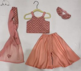 Crop Top with Plazzo Set