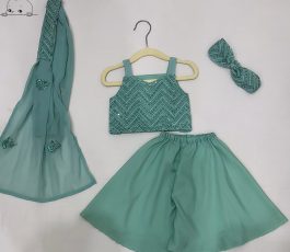 Crop Top with Plazzo Set